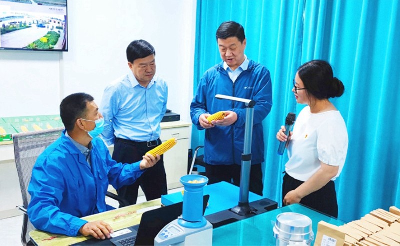 甘肅省地方金融監(jiān)管局、甘肅證監(jiān)局領(lǐng)導(dǎo)蒞臨敦煌種業(yè)調(diào)研指導(dǎo)